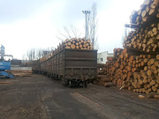Предлагает к продаже лес - кругляк из России регионов Сибири-